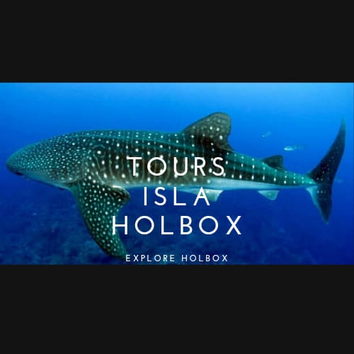 Tours Isla Holbox