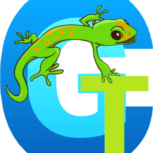 Gecko Cozumel Tours