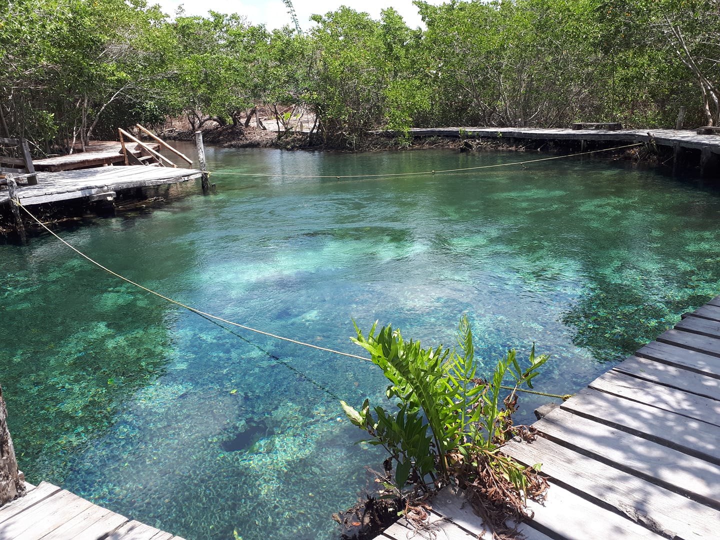 Santi Tours Holbox / Imagen del perfil FB