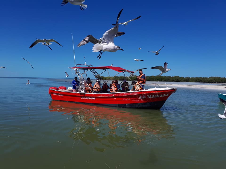 Santi Tours Holbox / Imagen del perfil FB